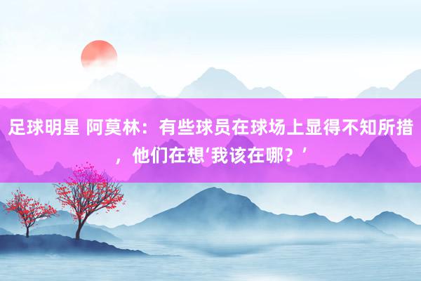 足球明星 阿莫林：有些球员在球场上显得不知所措，他们在想‘我该在哪？’