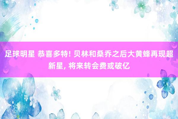 足球明星 恭喜多特! 贝林和桑乔之后大黄蜂再现超新星, 将来转会费或破亿