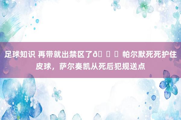 足球知识 再带就出禁区了😂帕尔默死死护住皮球，萨尔奏凯从死后犯规送点