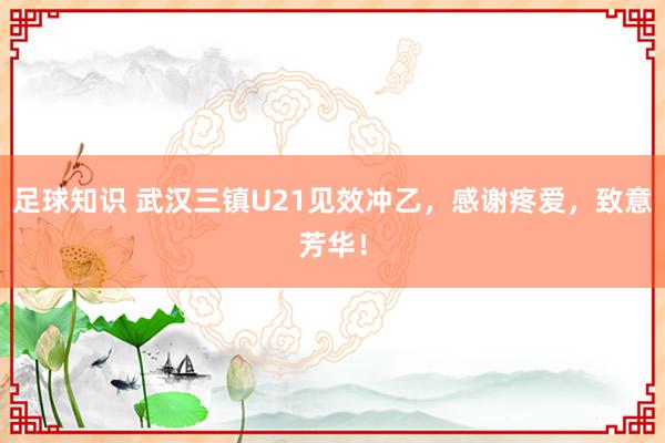 足球知识 武汉三镇U21见效冲乙，感谢疼爱，致意芳华！