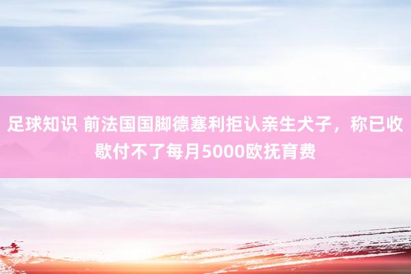 足球知识 前法国国脚德塞利拒认亲生犬子，称已收歇付不了每月5000欧抚育费