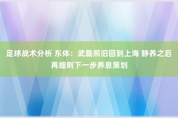 足球战术分析 东体：武磊照旧回到上海 静养之后再细则下一步养息策划