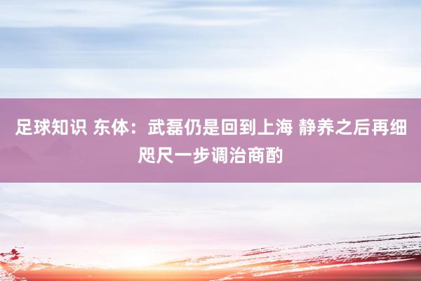 足球知识 东体：武磊仍是回到上海 静养之后再细咫尺一步调治商酌