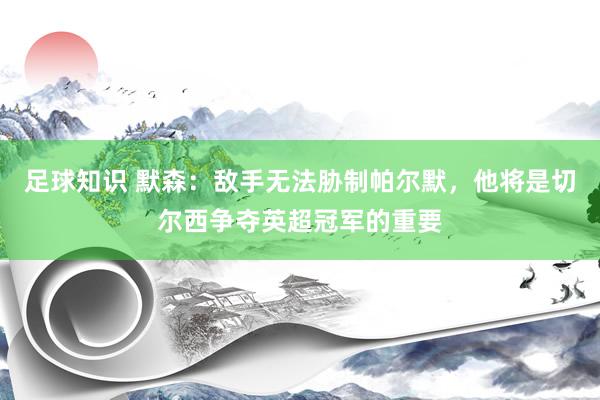 足球知识 默森：敌手无法胁制帕尔默，他将是切尔西争夺英超冠军的重要