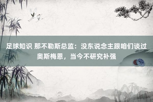 足球知识 那不勒斯总监：没东说念主跟咱们谈过奥斯梅恩，当今不研究补强