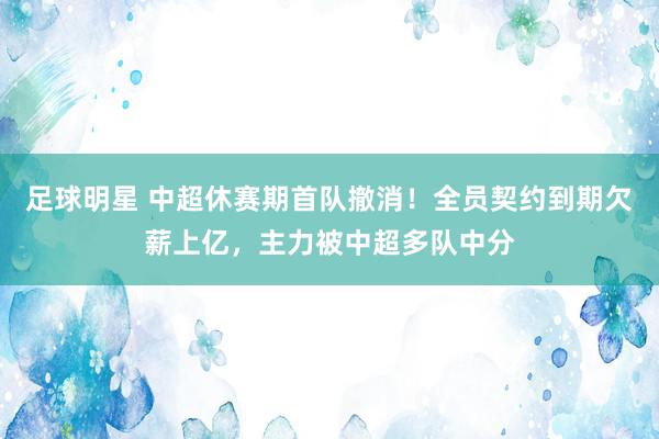 足球明星 中超休赛期首队撤消！全员契约到期欠薪上亿，主力被中超多队中分